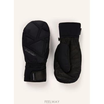 | Other Brand | ���� GENDINGO Z AS PR ��Ű �尩 100313684013000 TP582302371���� GENDINGO Z AS PR ��Ű �尩 100313684013000 TP5823