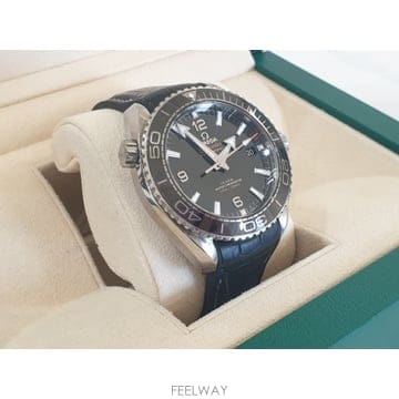 오메가 씨마스터 플래닛 오션 600M 43.5MM 검판 215.33.44.21.01.001