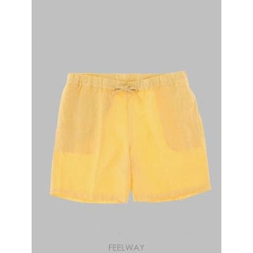 120 LINO 26FW 120 ���� ������ 33ALIM29DZ 0000253000042 YELLOW26FW 120 ���� ������ 33ALIM29DZ 0000253000042 YELLOW
