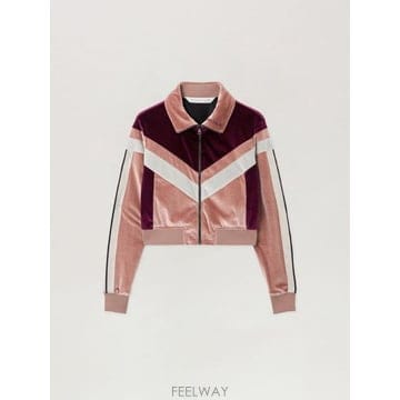Palm Angels �� ������ ����� �δ� Ʈ�� ��Ŷ PWBD066F25FAB0013C28  TP979353688�� ������ ����� �δ� Ʈ�� ��Ŷ PWBD066F25FAB0013C28  