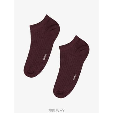 | Other Brand | 26 FW Wolford ���� ��Ʈ ��Ŭ �縻 418253272 TP46050390926 FW Wolford ���� ��Ʈ ��Ŭ �縻 418253272 TP46050390