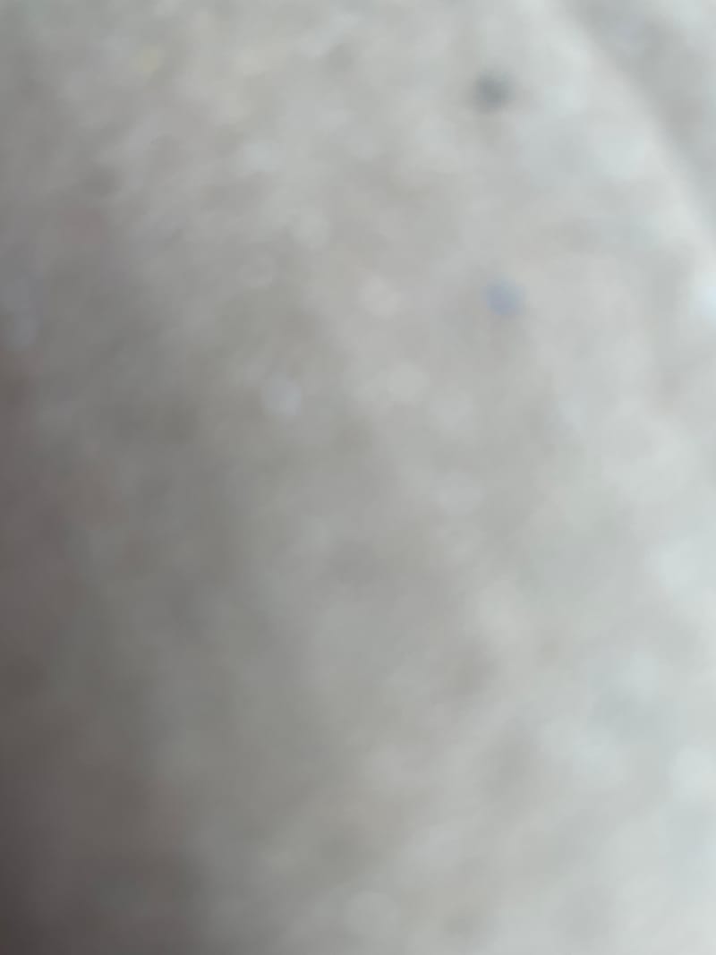 포토리뷰