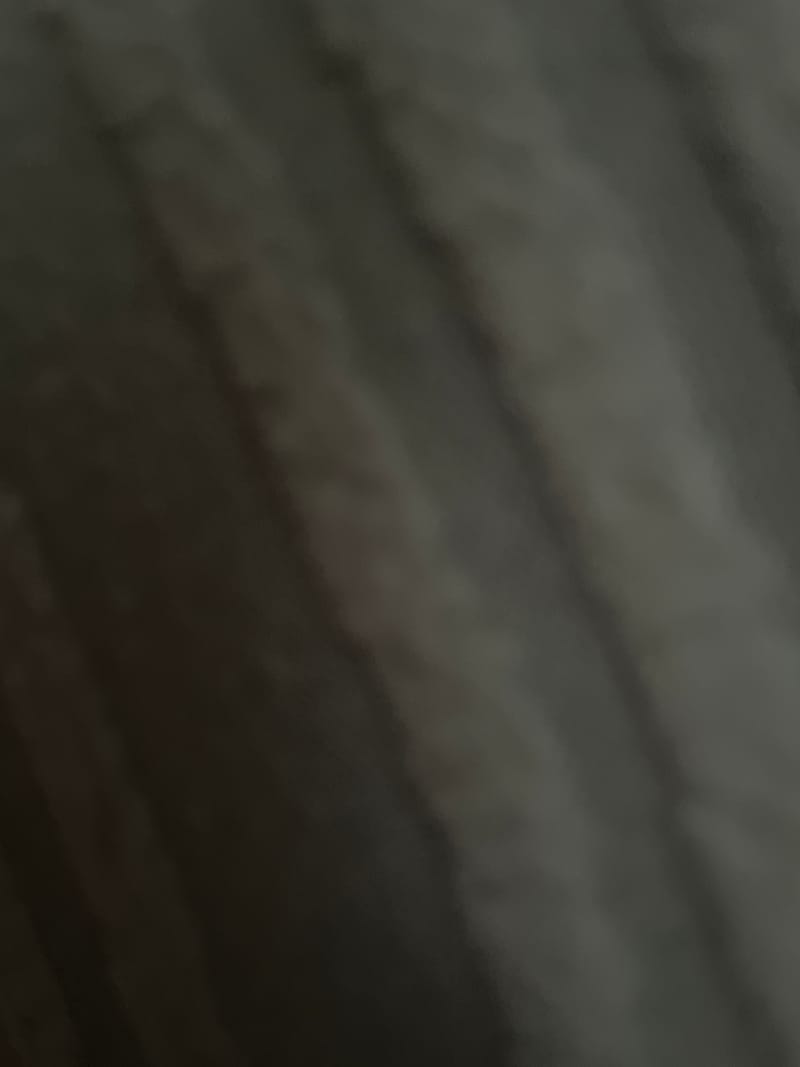 포토리뷰