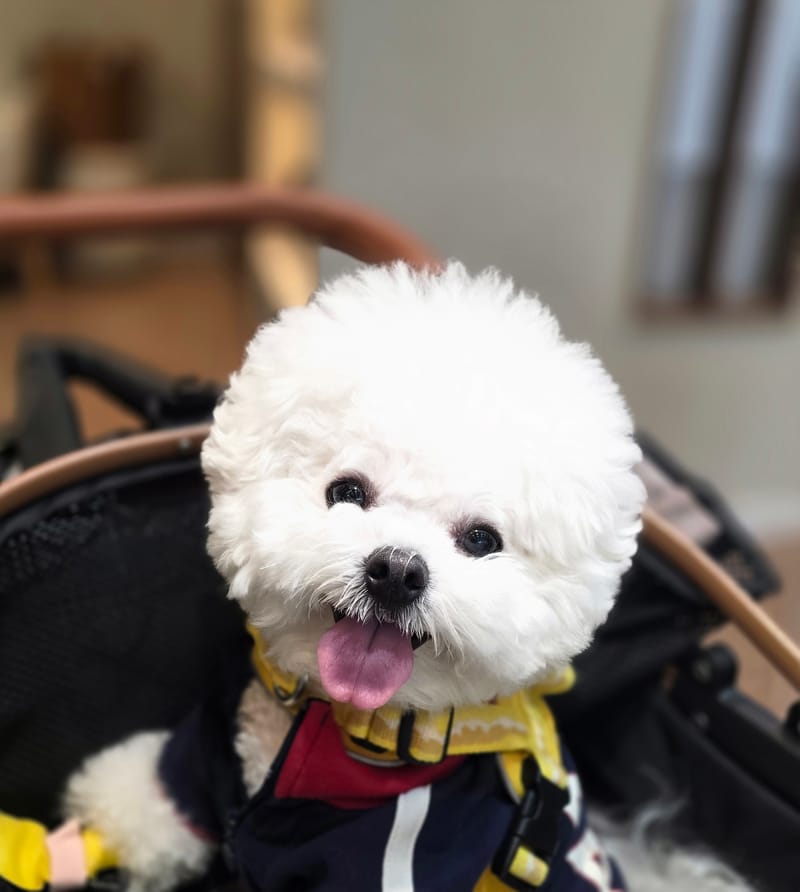 포토리뷰