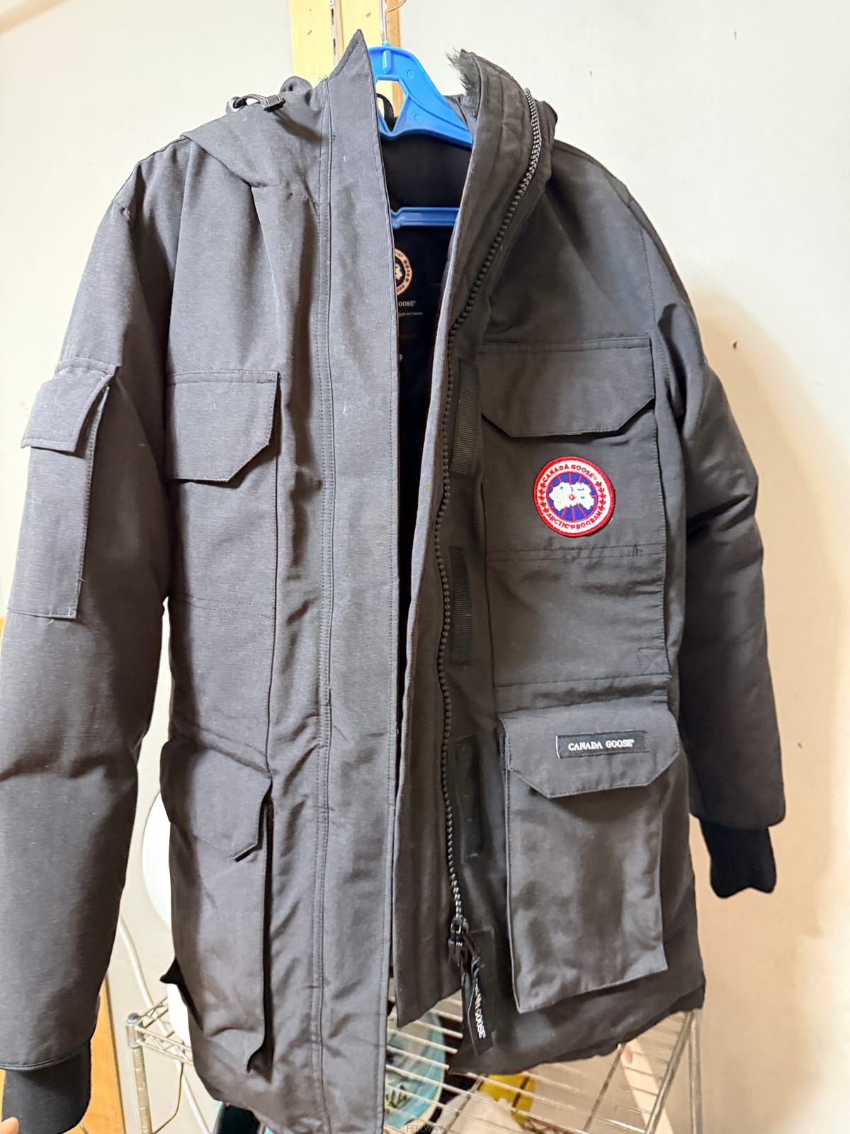 ��ǰ����, ��ǰ��ǰ | ĳ���ٱ���|Canada Goose, ����ǰ ���� ��Ź�帳�ϴ�.