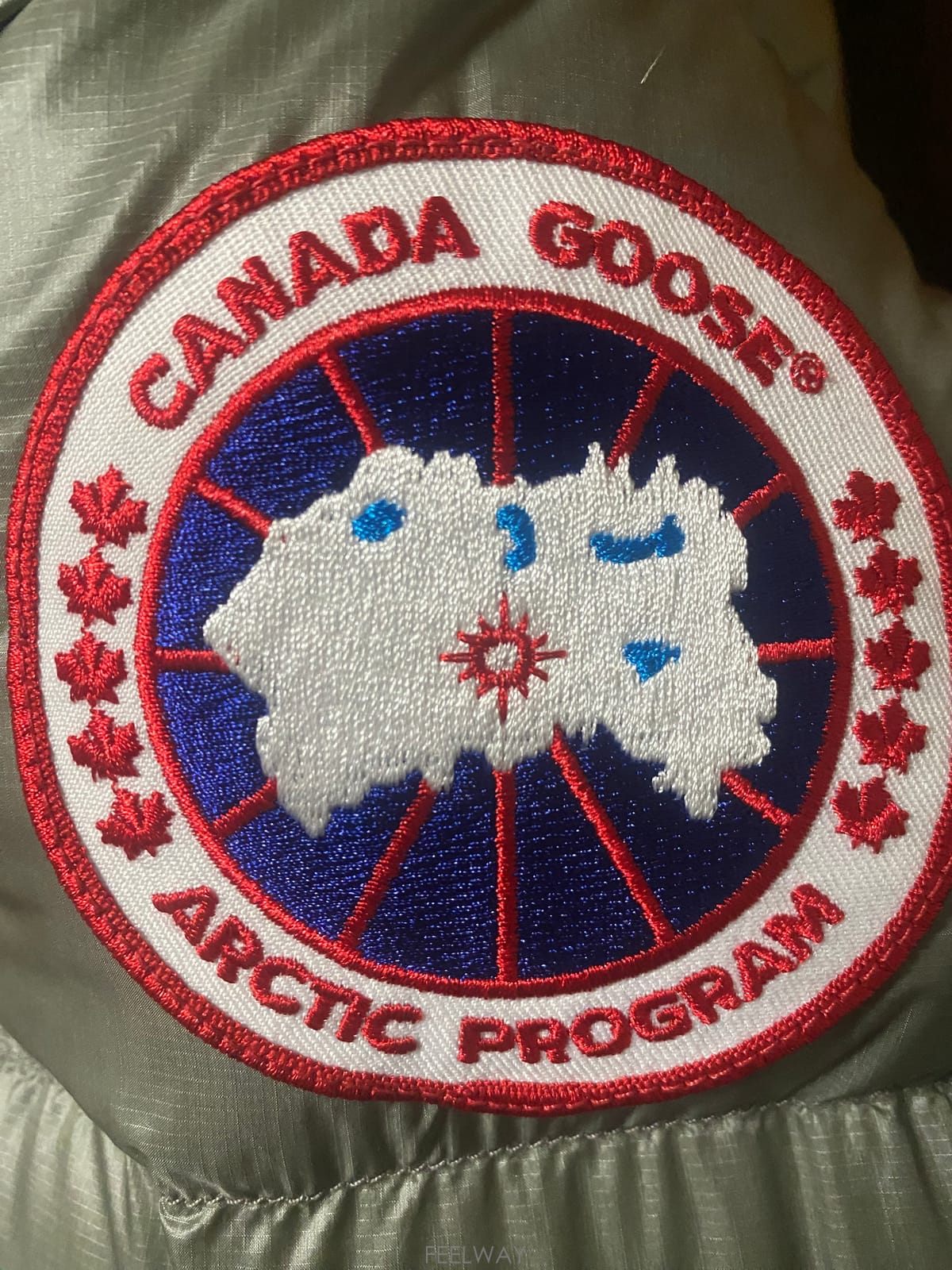 ��ǰ����, ��ǰ��ǰ | ĳ���ٱ���|Canada Goose, ĳ���ٱ��� ��ǰ�ΰ���? �����Ե� �Ǻ������ּ��� 