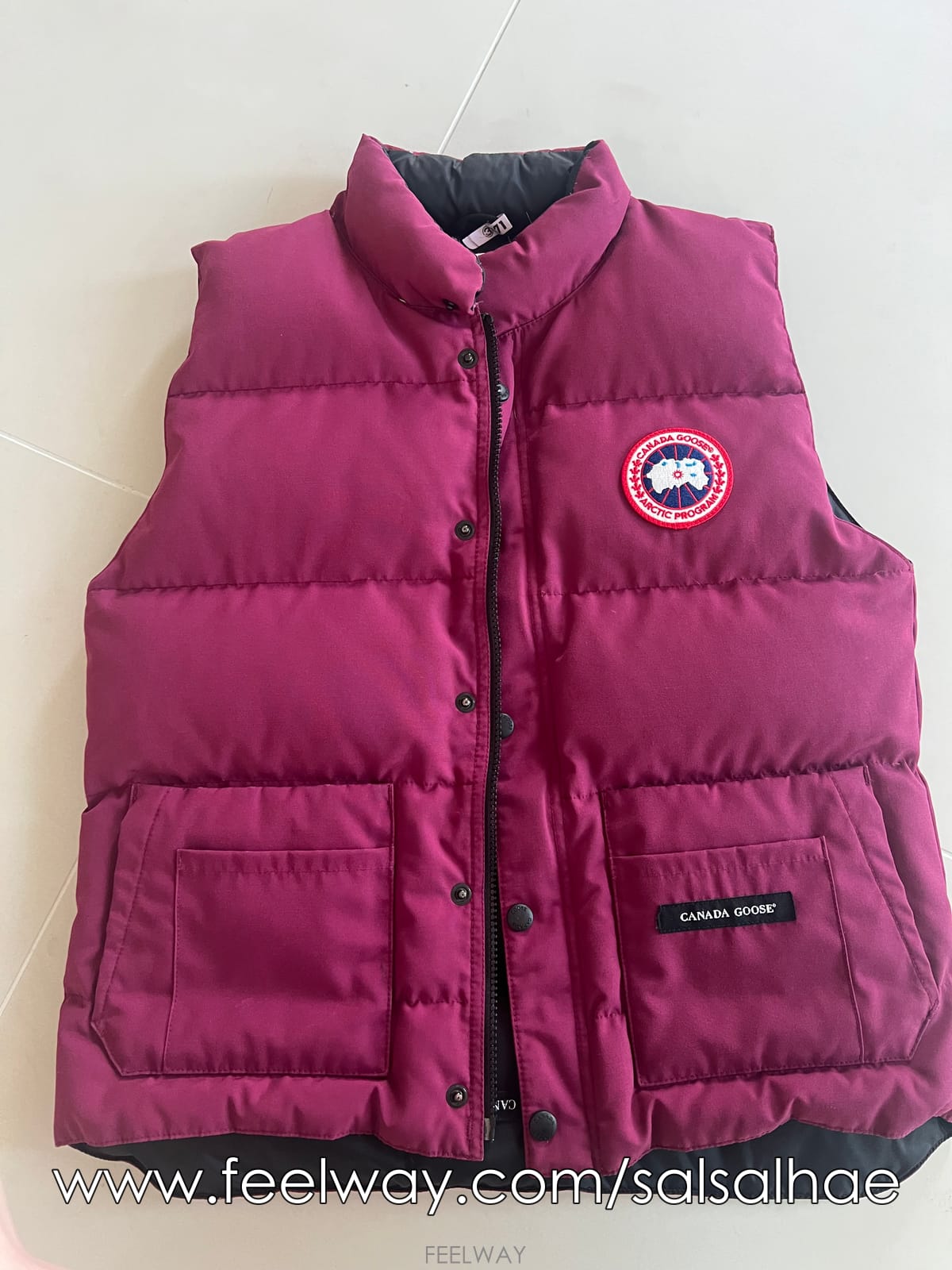 ��ǰ����, ��ǰ��ǰ | ĳ���ٱ���|Canada Goose, ĳ���ٱ��� ������Ź�帳�ϴ�